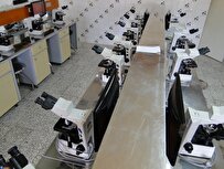 رفع معضلات جامعه و صنعت با انجام پروژههای تحقیقاتی در دانشگاه