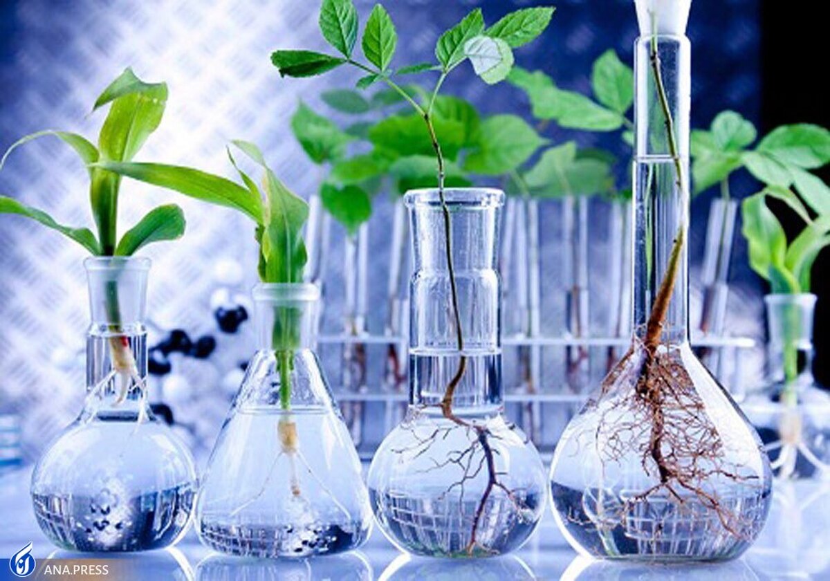 رونق حوزه امنیت غذایی و سلامت با کمک فناوریهای زیستی