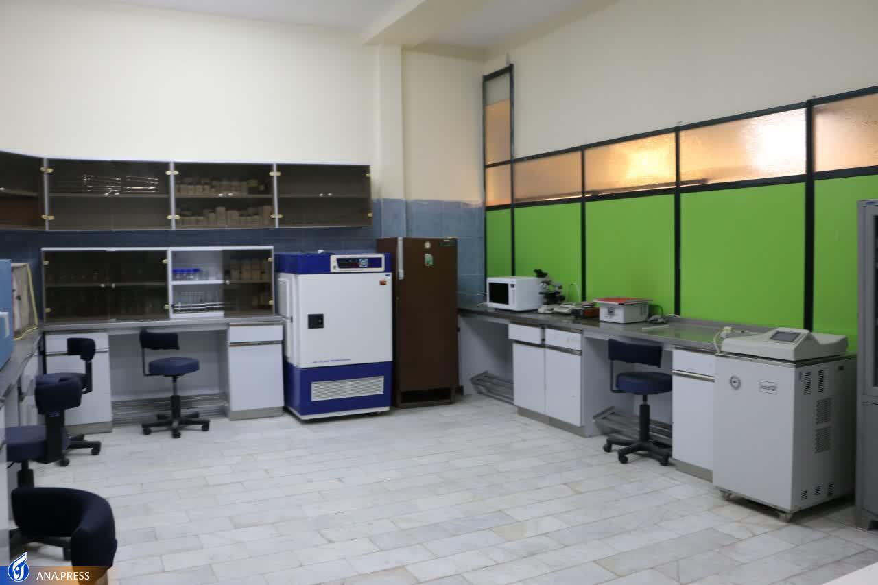 ایجاد شبکه نوآوری محصولات گرمسیری و گیاهان دارویی ایجاد شبکه نوآوری محصولات گرمسیری و گیاهان دارویی