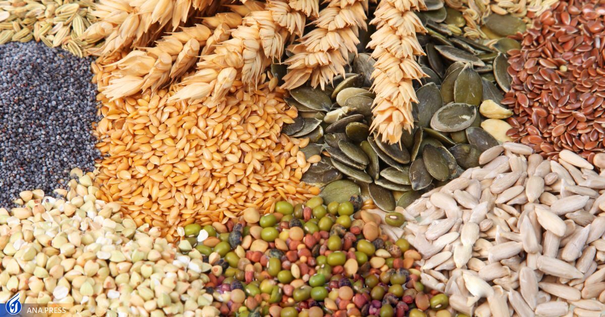 تولید خوراک دام و طیور از ضایعات مخمر توسط فناوران ایرانی