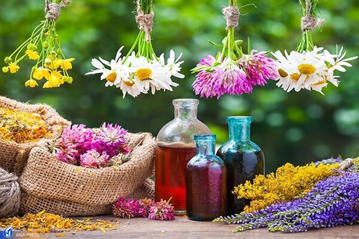 افزایش تولید ناخالص ملی با صنعت گیاهان دارویی