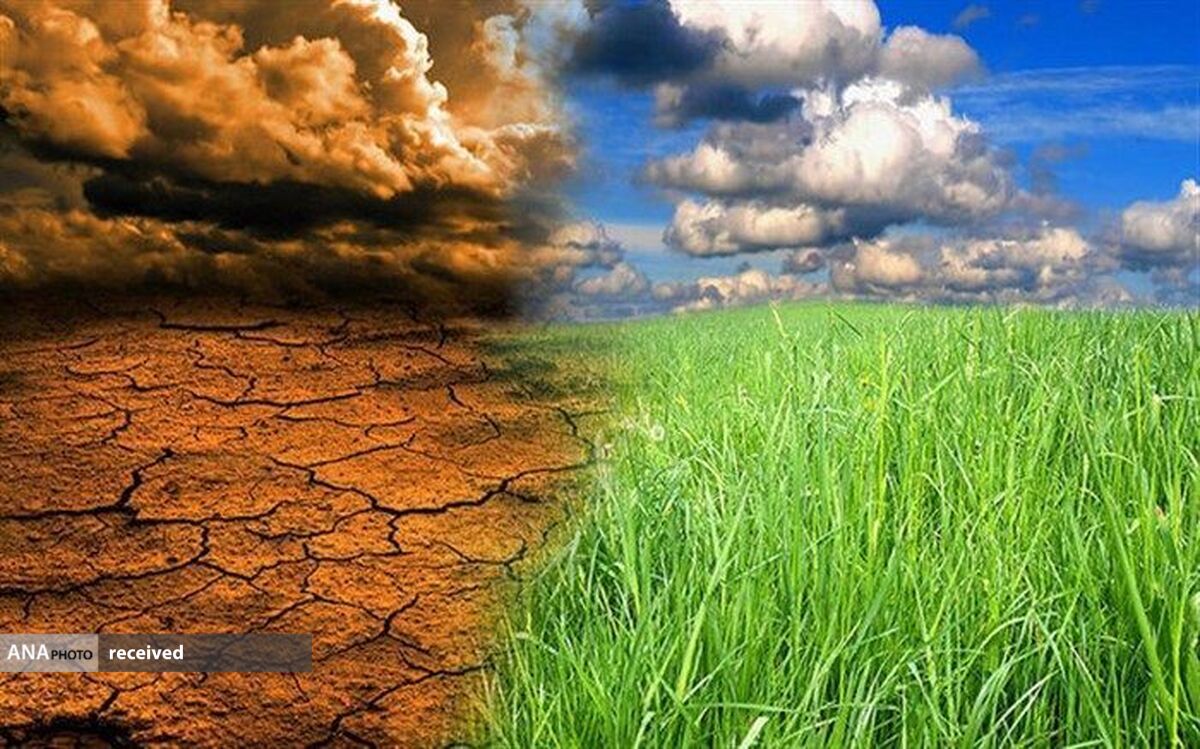سهم اندک محیط زیست از بودجه با وجود کاهش سریع تنوع زیستی ایران