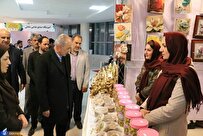 بانویی که محصول ویژه از فرآوریهای زیتون را ثبت ملی کرد