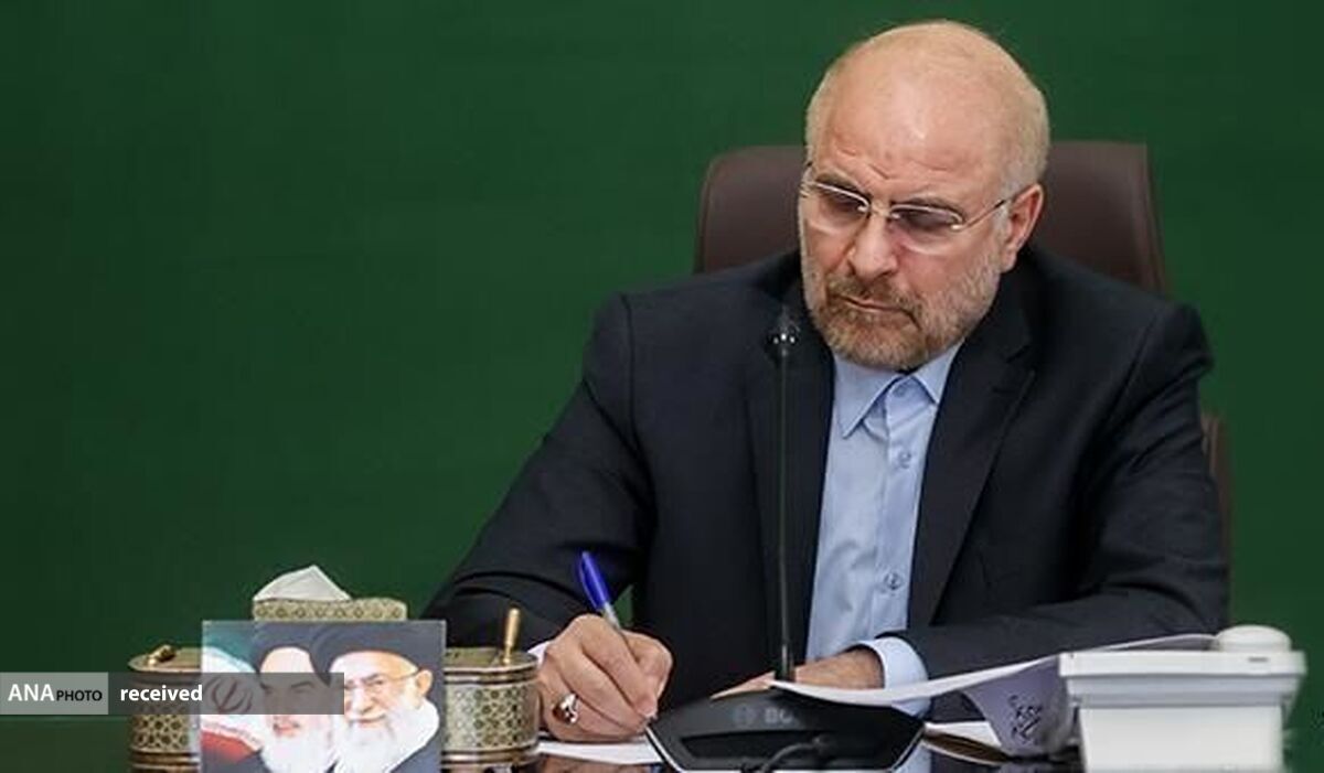 پروژه در هم شکستن اتحاد ملت با تدبیر خود مردم شکست خورد