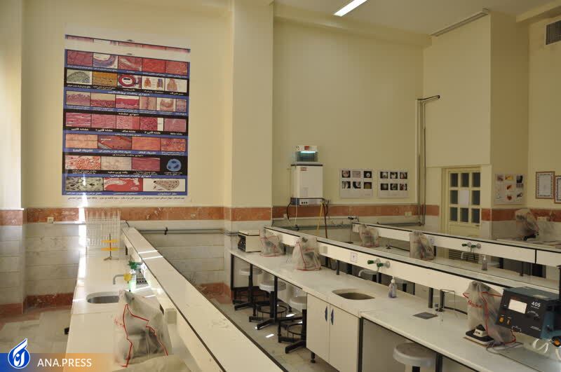 دانشگاه آزاد اسلامی ساوه + امکانات، آزمایشگاهها و فعالیتهای فرهنگی دانشگاه آزاد اسلامی ساوه + امکانات، آزمایشگاهها و فعالیتهای فرهنگی