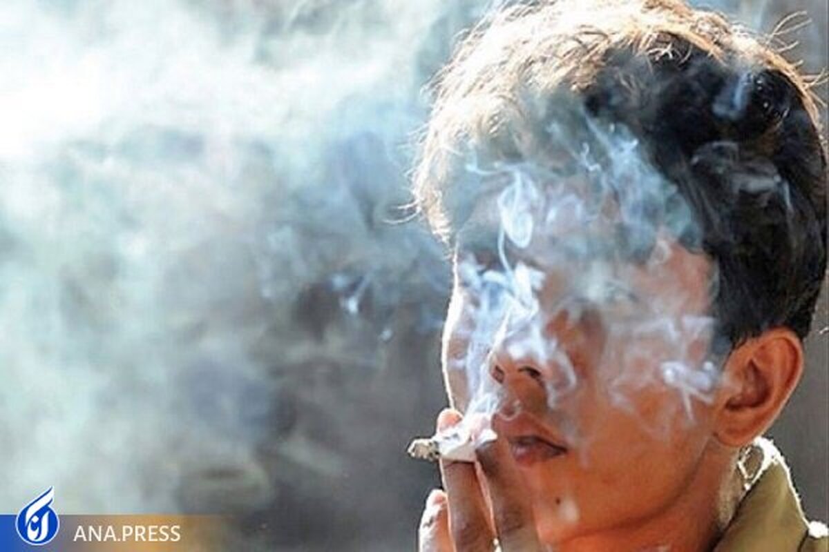 مشاور رفتاری برای «کاهش خطر مصرف مواد در میان دانشجویان» تربیت میشود