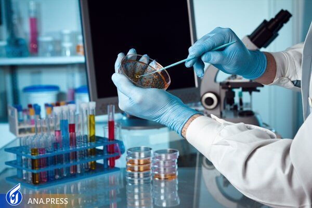 دورههای عملی دستگاههای پیشرفته و شاخص آزمایشگاهی کارگاهی برگزار میشود