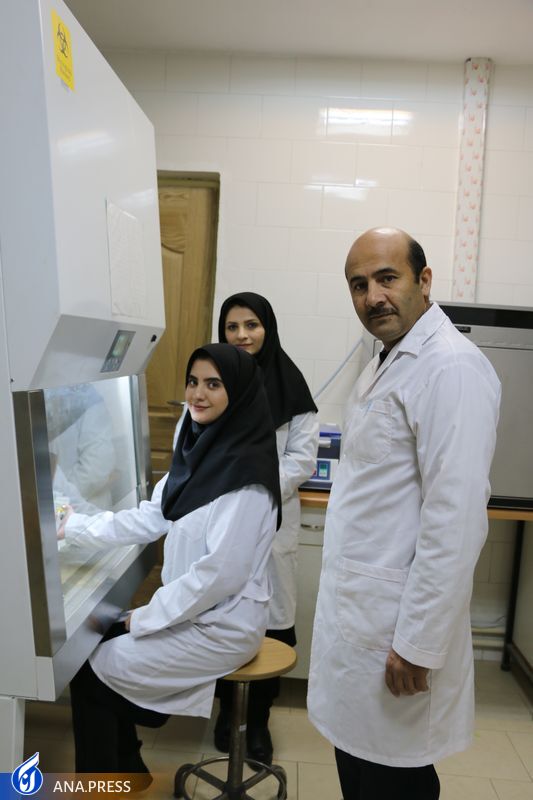 «شبکهسازی» حلقه مفقوده ارتباط محققان و سرمایهگذاران «شبکهسازی» حلقه مفقوده ارتباط محققان و سرمایهگذاران