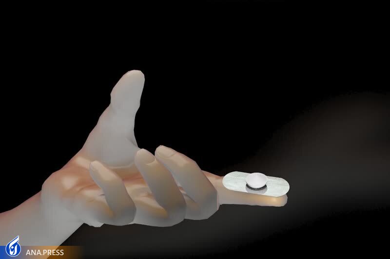 از طراحی نمونه اولیه محصول فناورانه خانههای «پاپاپ» تا ساخت تختی با سرویس بهداشتی و حمام از طراحی نمونه اولیه محصول فناورانه خانههای «پاپاپ» تا ساخت تختی با سرویس بهداشتی و حمام