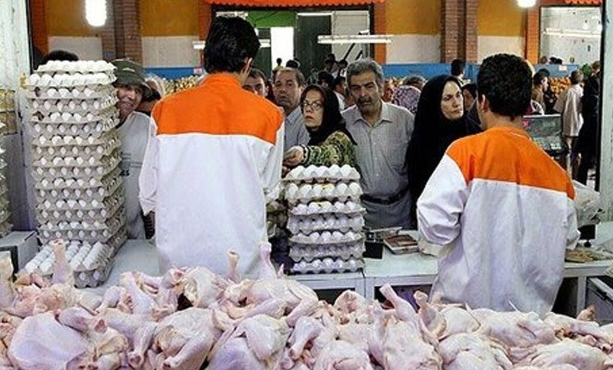 تنظیم بازار مرغ با کاهش ۳۰ درصدی تولید + فیلم