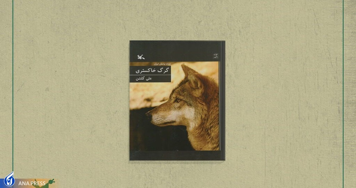 «گرگ خاکستری» از مجموعه حیات وحش ایران منتشر شد