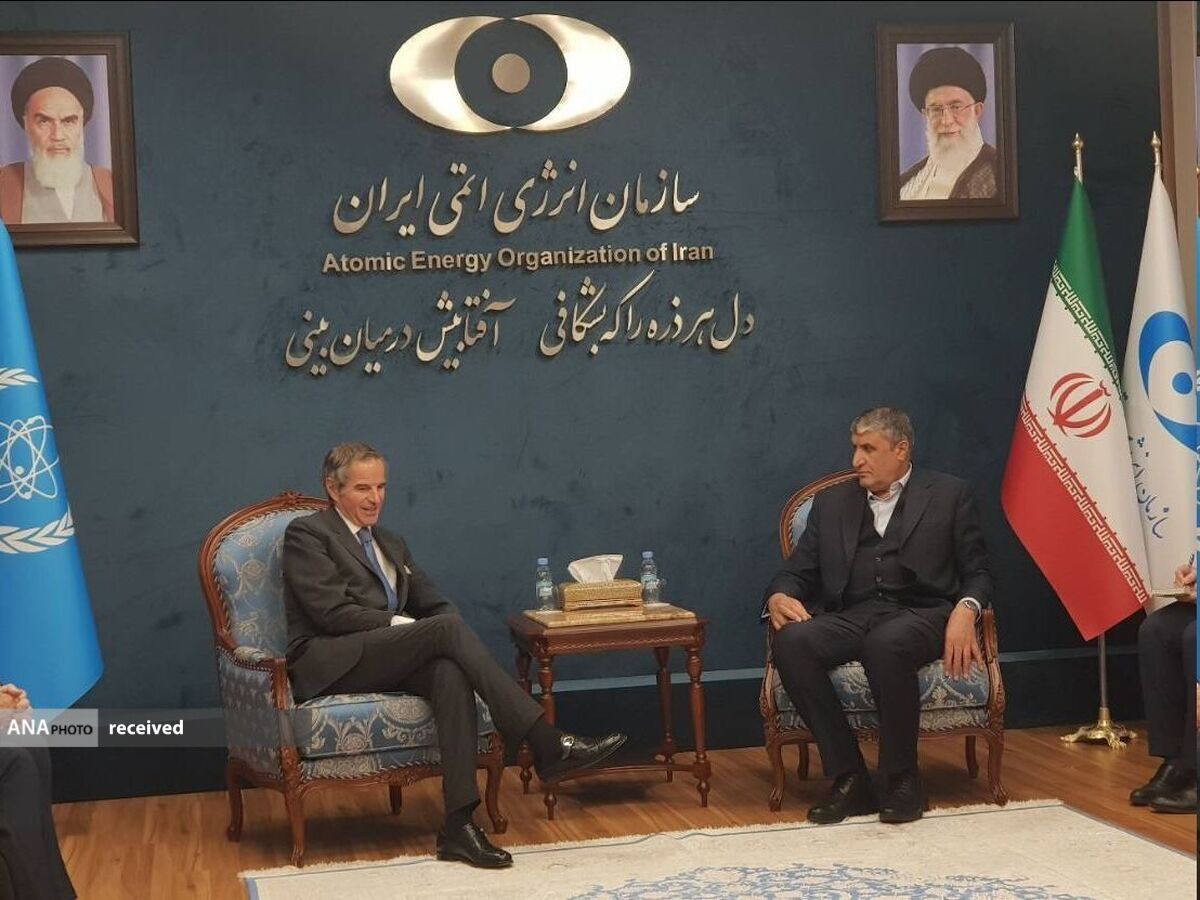 اسلامی با مدیرکل آژانس بینالمللی انرژی اتمی دیدار کرد