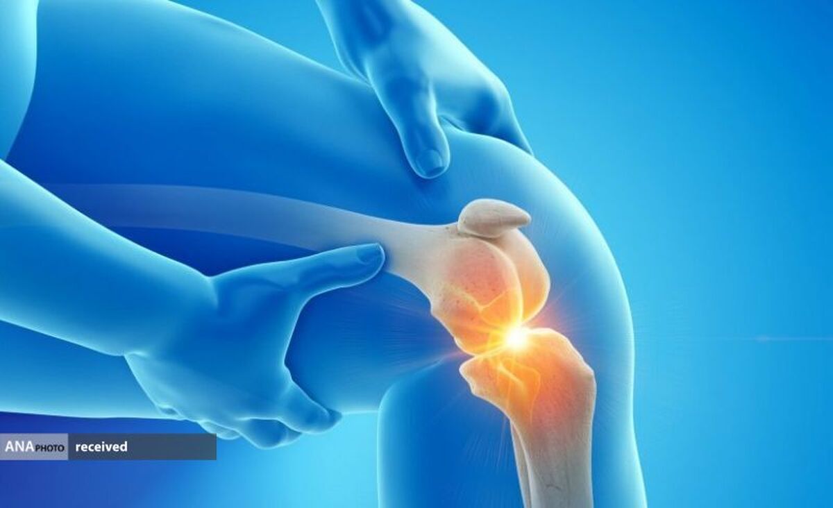 مهندسی غضروفسازی با استفاده از سلولهای بنیادی