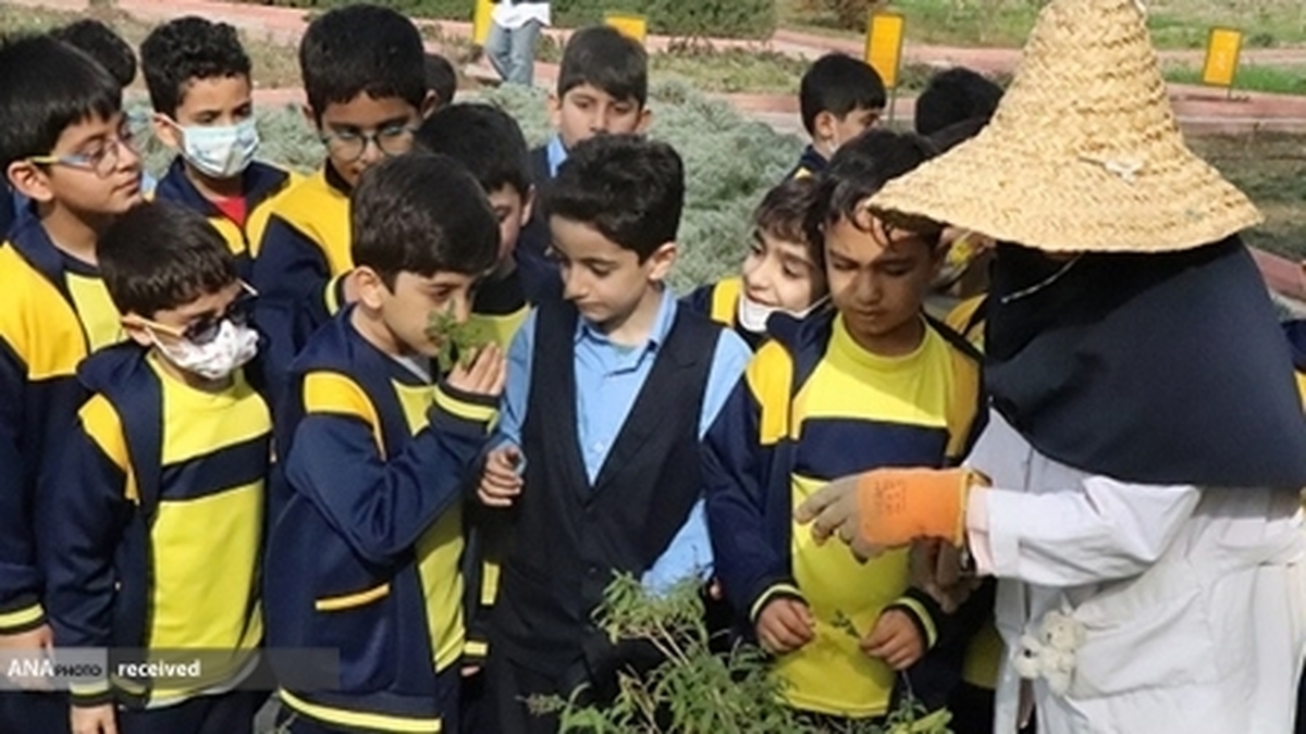 استفاده از ظرفیت دانشآموزان در صنعت گیاهان دارویی