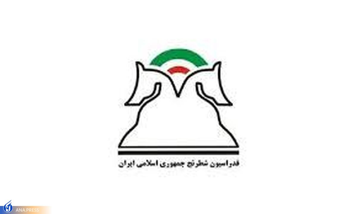برق فدراسیون شطرنج وصل شد