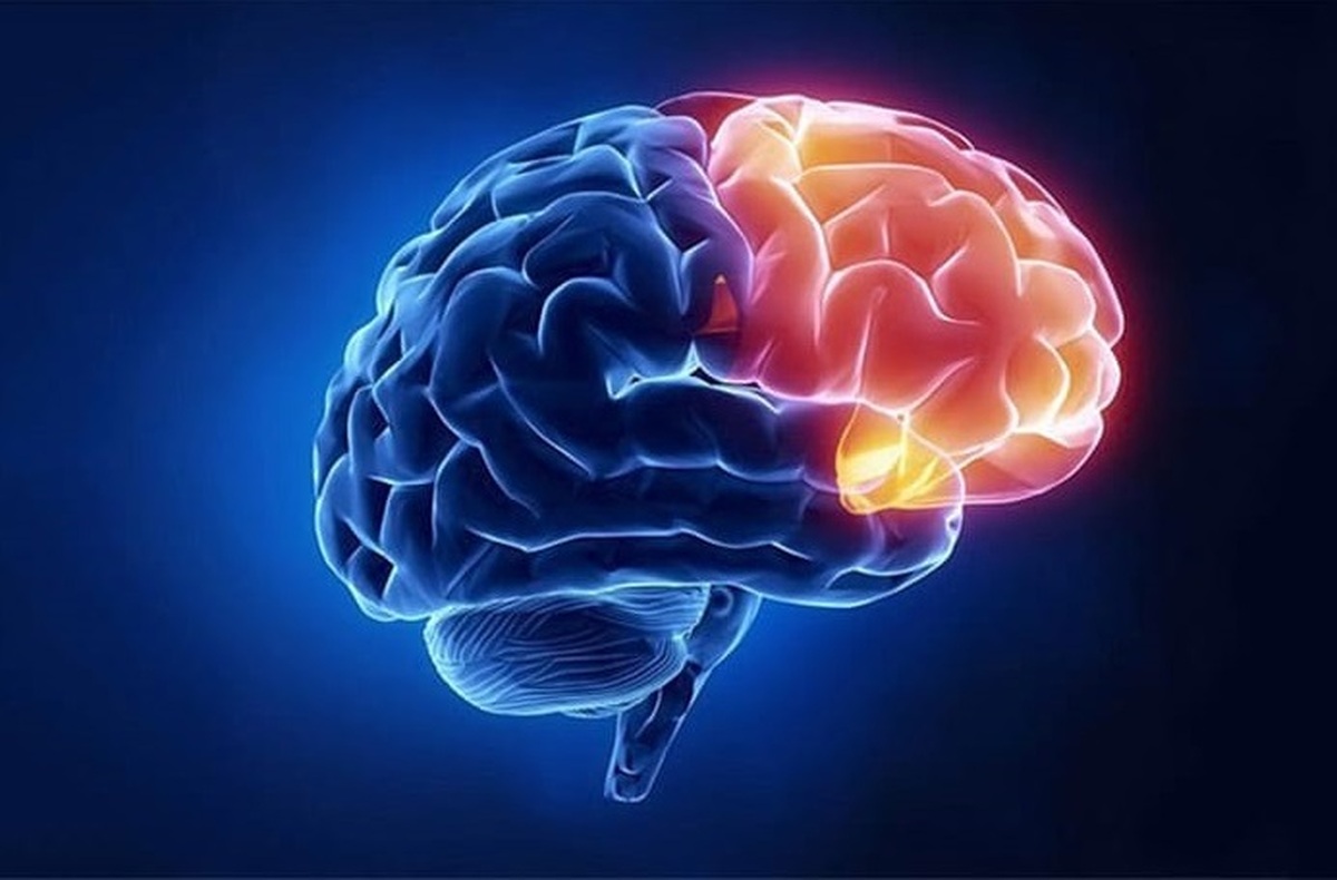 اختراعی که کارکردهای اجرایی مغز را اندازهگیری میکند
