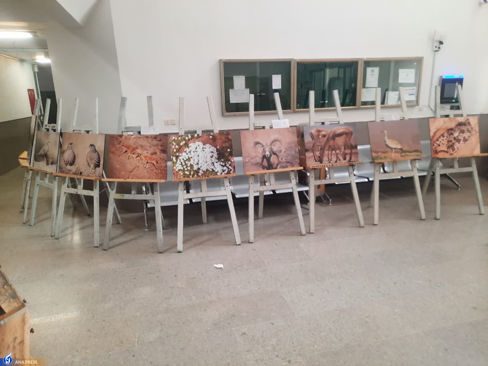 آثار دانشجوی دانشگاه آزاد اشکذر به نمایش درآمد