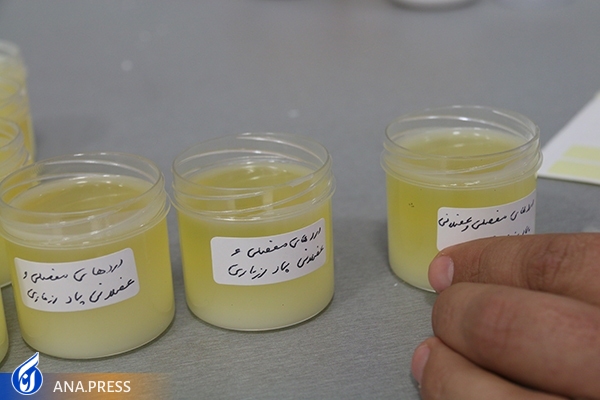 ۲۰ طرح فناور و دانش&zwnj;بنیانی که قابلیت تجاری&zwnj;سازی و اشتغالزایی دارند