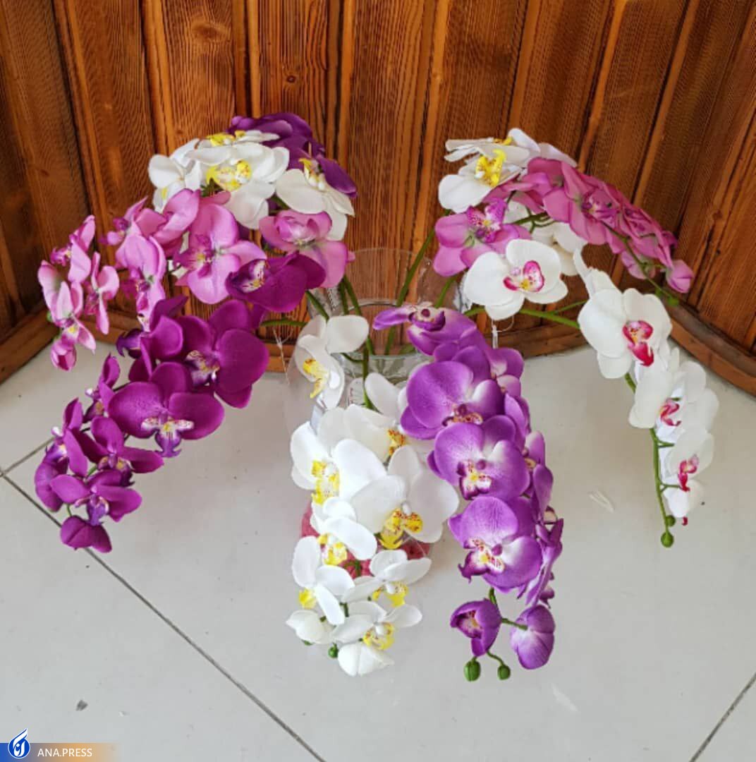 خودکفایی در تولید مصنوعی گل&zwnj;های شاخه&zwnj;ای و بوته&zwnj;ای با نقش&zwnj;آفرینی نخبگان