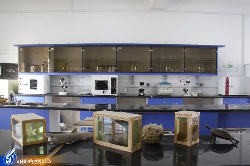 عیدانه///////بوشهر عیدانه///////بوشهر