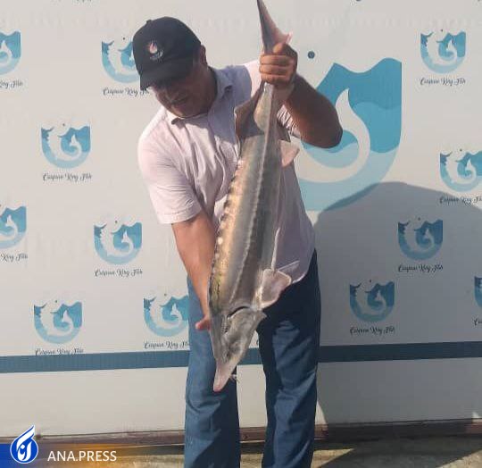 از پرورش ماهی به روش علمی تا ارزآوری و اشتغالزایی توسط زوج جوان دانشگاهی از پرورش ماهی به روش علمی تا ارزآوری و اشتغالزایی توسط زوج جوان دانشگاهی