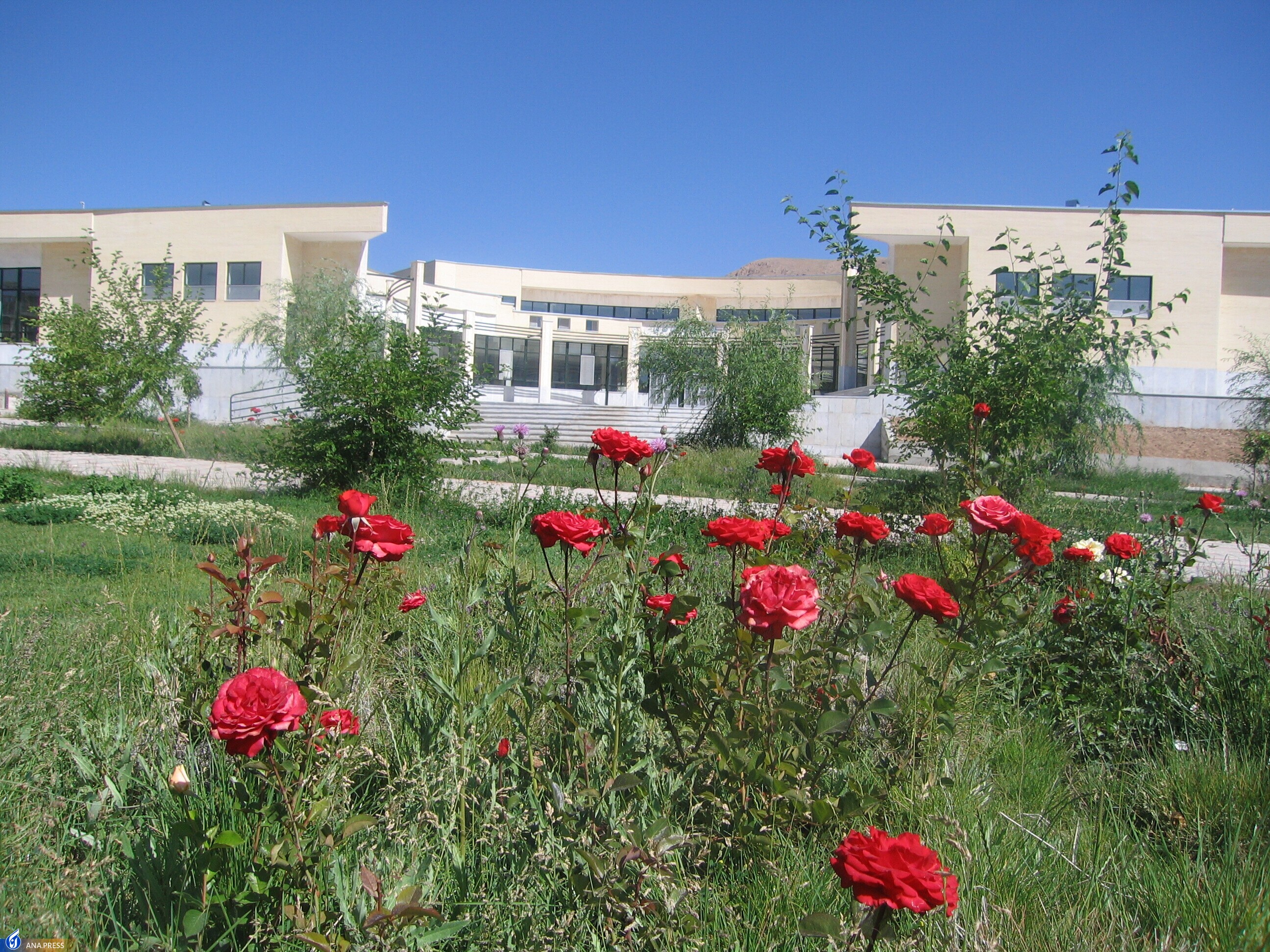 جذب ۴۱ هسته و واحد فناور شعار سال ۱۴۰۱ را محقق کرد جذب ۴۱ هسته و واحد فناور شعار سال ۱۴۰۱ را محقق کرد