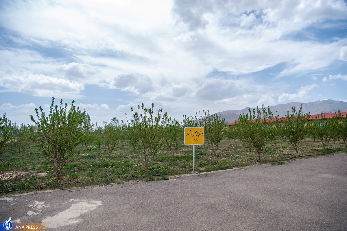 افزایش۳۰ درصدی حضور دانشجویان در طرح پویش دانشگاه آزاد گلپایگان