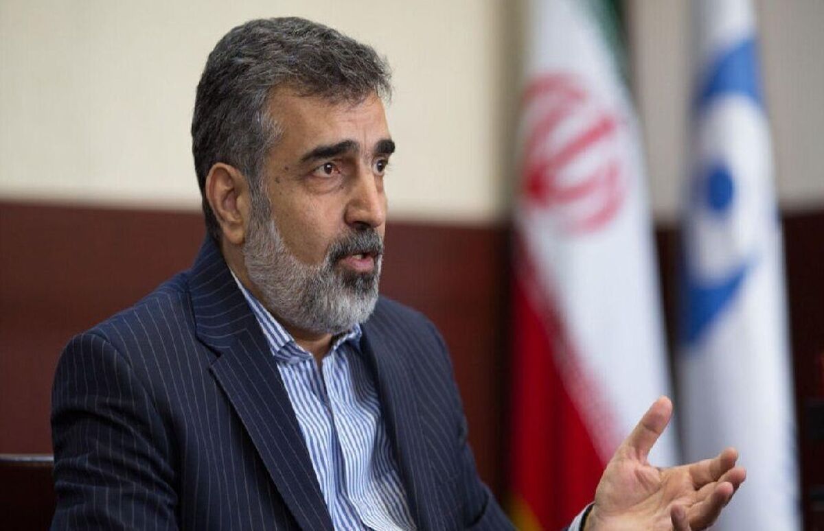 کمالوندی: به تمامی سوالات آژانس پاسخ دادهایم