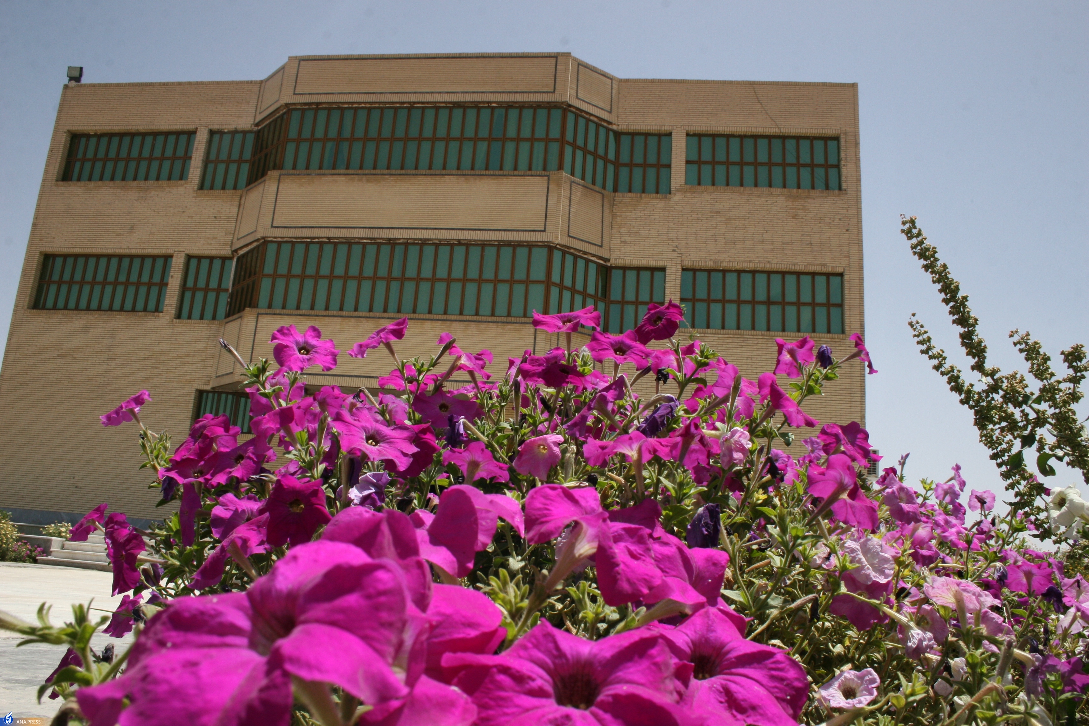 از ارائه ۴۰ طرح پژوهشی و ۱۰۰ مقاله علمی تا احیای مزرعه تحقیقاتی از ارائه ۴۰ طرح پژوهشی و ۱۰۰ مقاله علمی تا احیای مزرعه تحقیقاتی