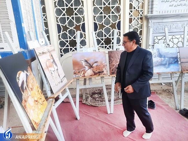 نمایشگاه عکس تنوع زیستی استان یزد برپا شد
