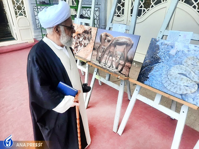نمایشگاه عکس تنوع زیستی استان یزد برپا شد