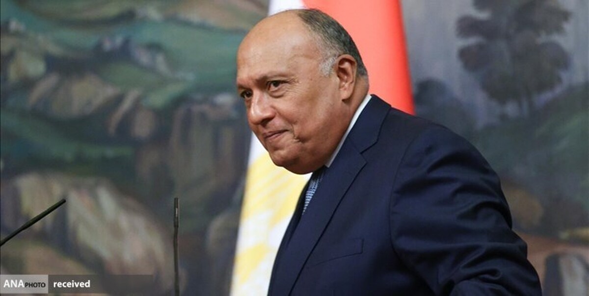 وزیر خارجه مصر به سوریه سفر کرد