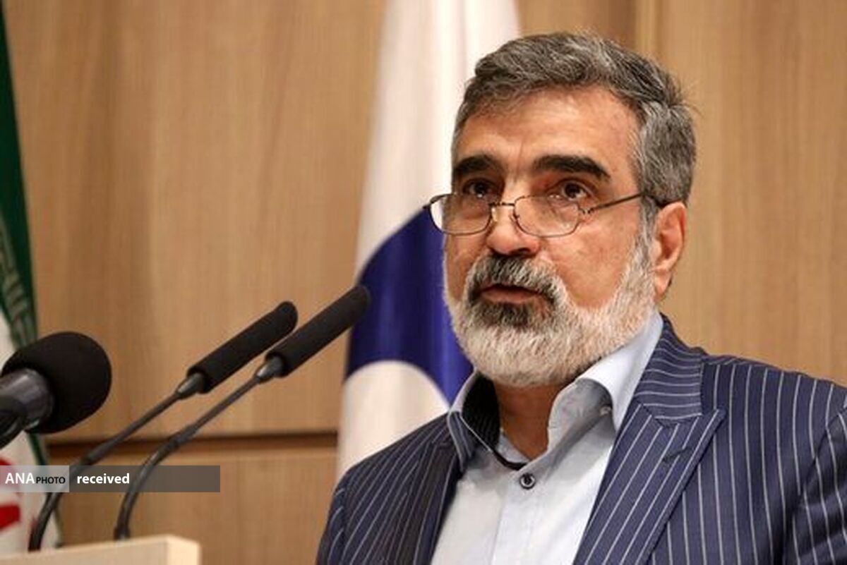 سفر قریب‌الوقوع «رافائل گروسی» به ایران
