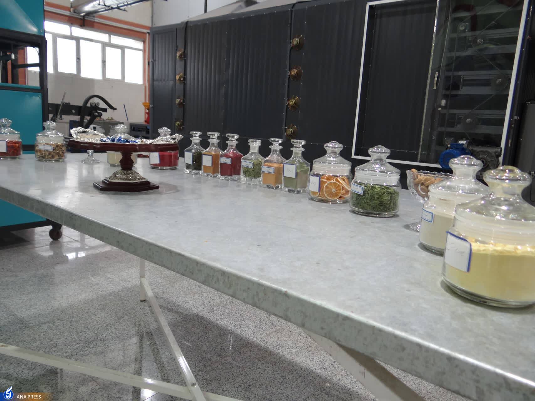 تجاریسازی ۲۰۰ محصول در سرای نوآوری گیاهان دارویی تجاریسازی ۲۰۰ محصول در سرای نوآوری گیاهان دارویی