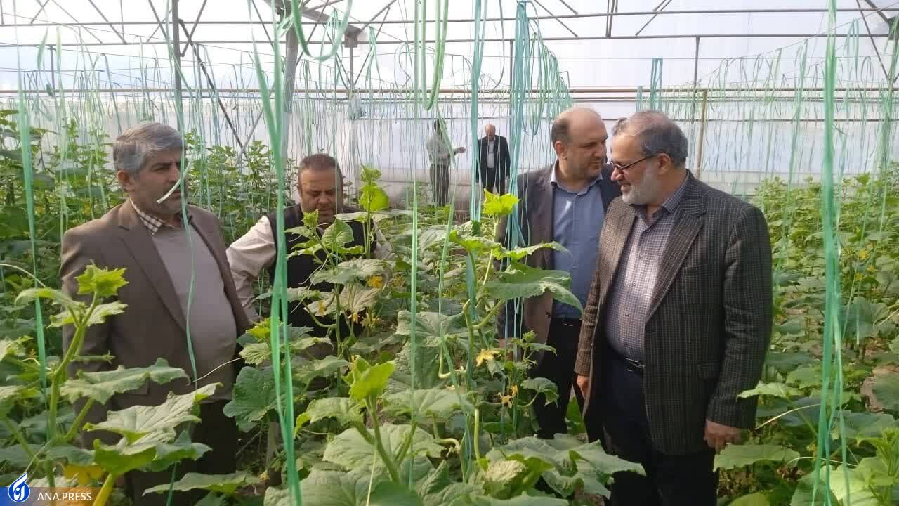 شرایط اقتصادی و بافت منطقه&zwnj;ای عاملی برای تأسیس مدارس مهارتی در ورامین است