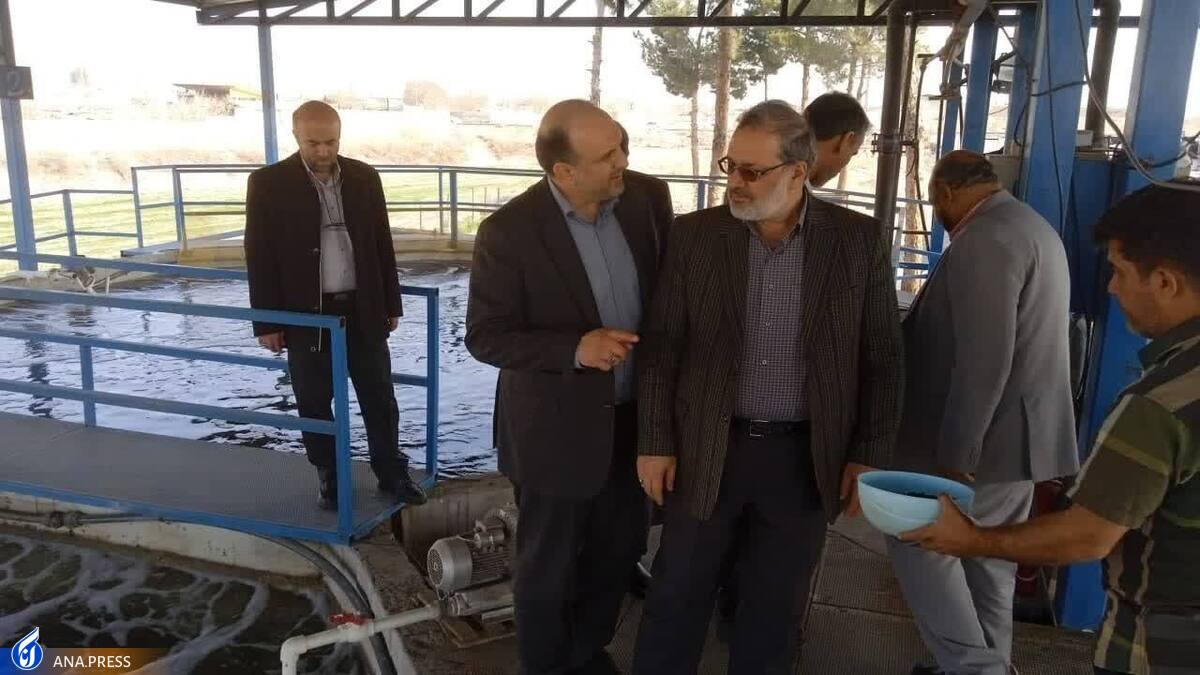 تربیت نیروی انسانی کارآمد با راه‌اندازی مدارس مهارتی