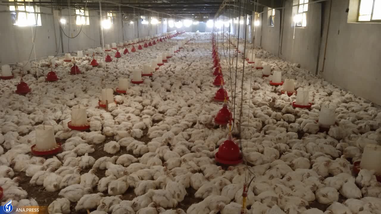 تربیت نیروی انسانی کارآمد با راه&zwnj;اندازی مدارس مهارتی