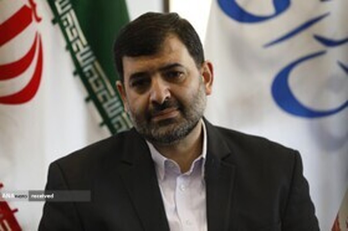 معاون وزیر ورزش وجوانان: در موارد ضروری از سجادی کسب تکلیف میشود