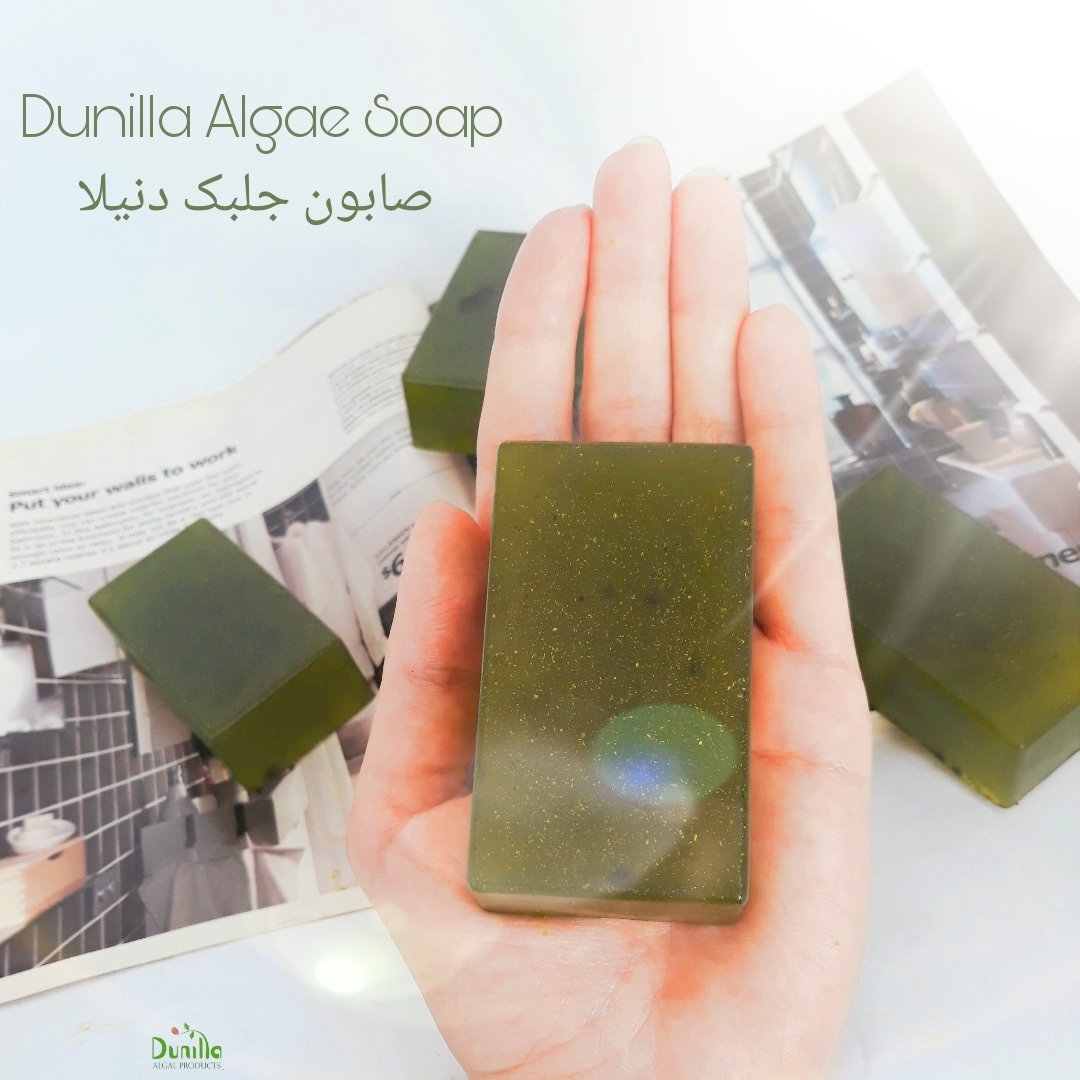 سهم ناچیز تولیدات داخلی از صنعت ۵۸ میلیون دلاری جلبک سهم ناچیز تولیدات داخلی از صنعت ۵۸ میلیون دلاری جلبک