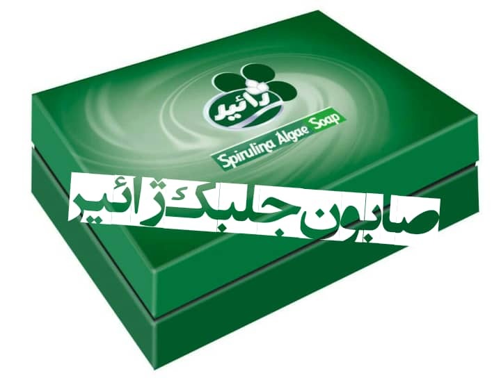 مدیر مرکز رشد واحدهای فناور دانشگاه آزاد اسلامی واحد بندرعباس مدیر مرکز رشد واحدهای فناور دانشگاه آزاد اسلامی واحد بندرعباس