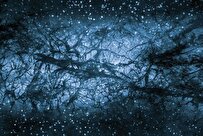 دستیابی-محققان-ایرانی-به-چشمه‌ای-ممکن-برای-انرژی-تاریک-ایده‌ای-نوآورانه-و-ساده-که-جهانی-شد