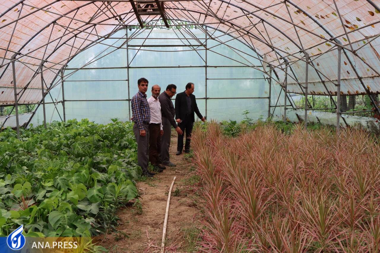 اخبار خوش برای دانشجویان رشته کشاورزی/ از راهاندازی گلخانه تا ایجاد دانشکده هوشمند اخبار خوش برای دانشجویان رشته کشاورزی/ از راهاندازی گلخانه تا ایجاد دانشکده هوشمند