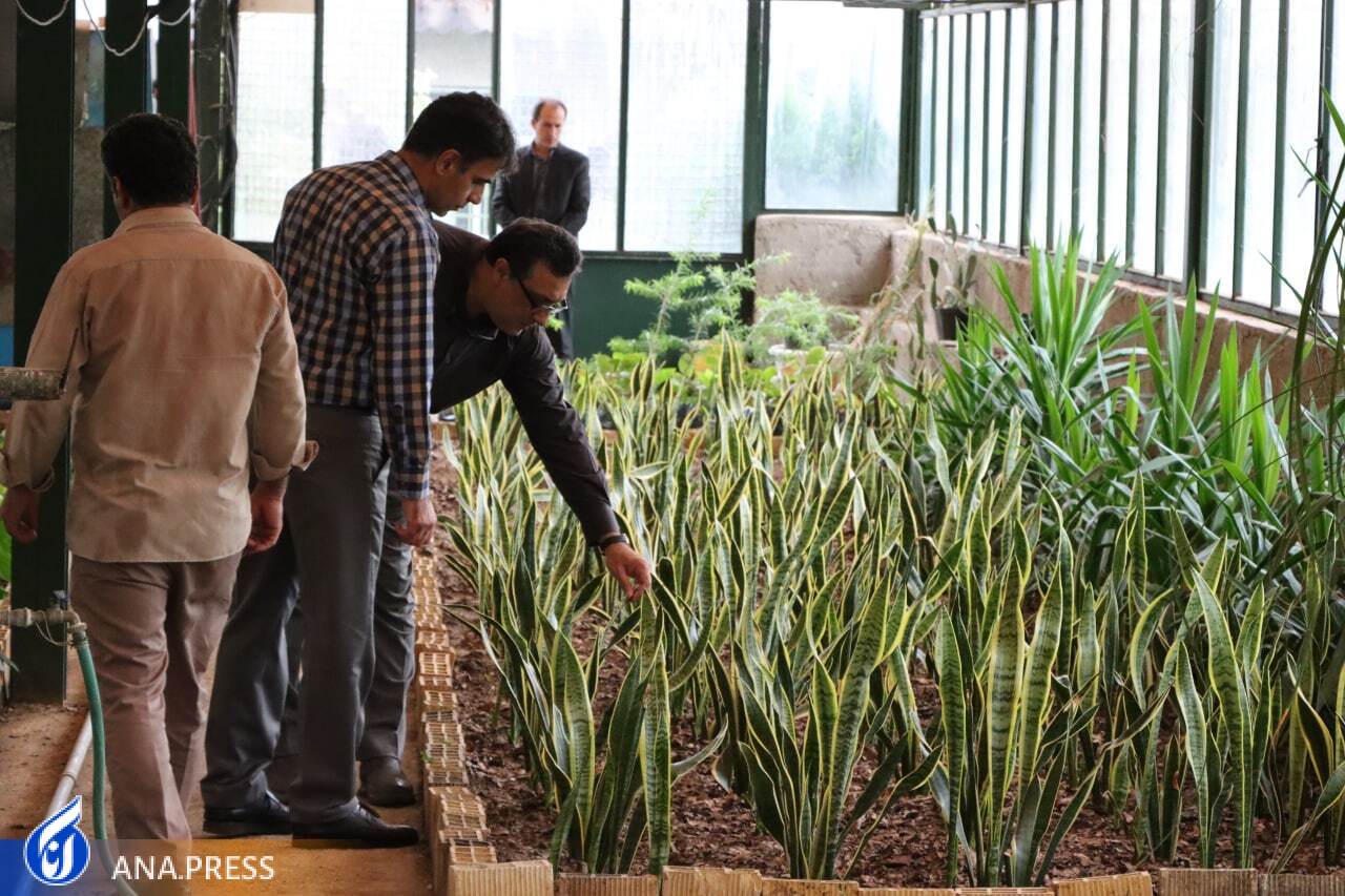 اخبار خوش برای دانشجویان رشته کشاورزی/ از راهاندازی گلخانه تا ایجاد دانشکده هوشمند اخبار خوش برای دانشجویان رشته کشاورزی/ از راهاندازی گلخانه تا ایجاد دانشکده هوشمند