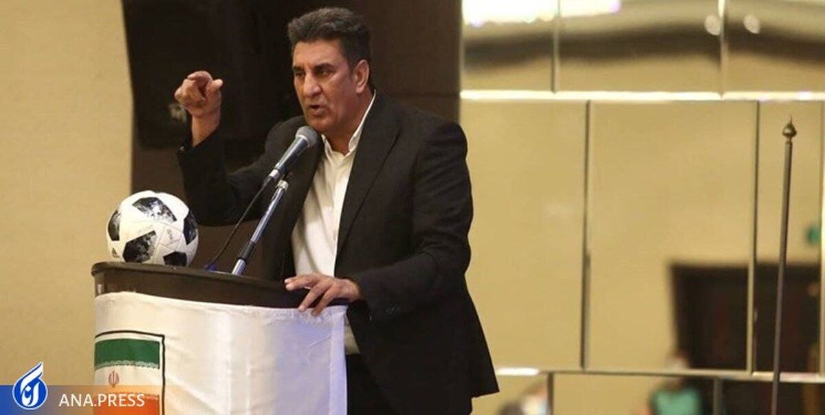 افشاریان: هیچ فشاری از بیرون برای لغو انتخابات فدراسیون نبود