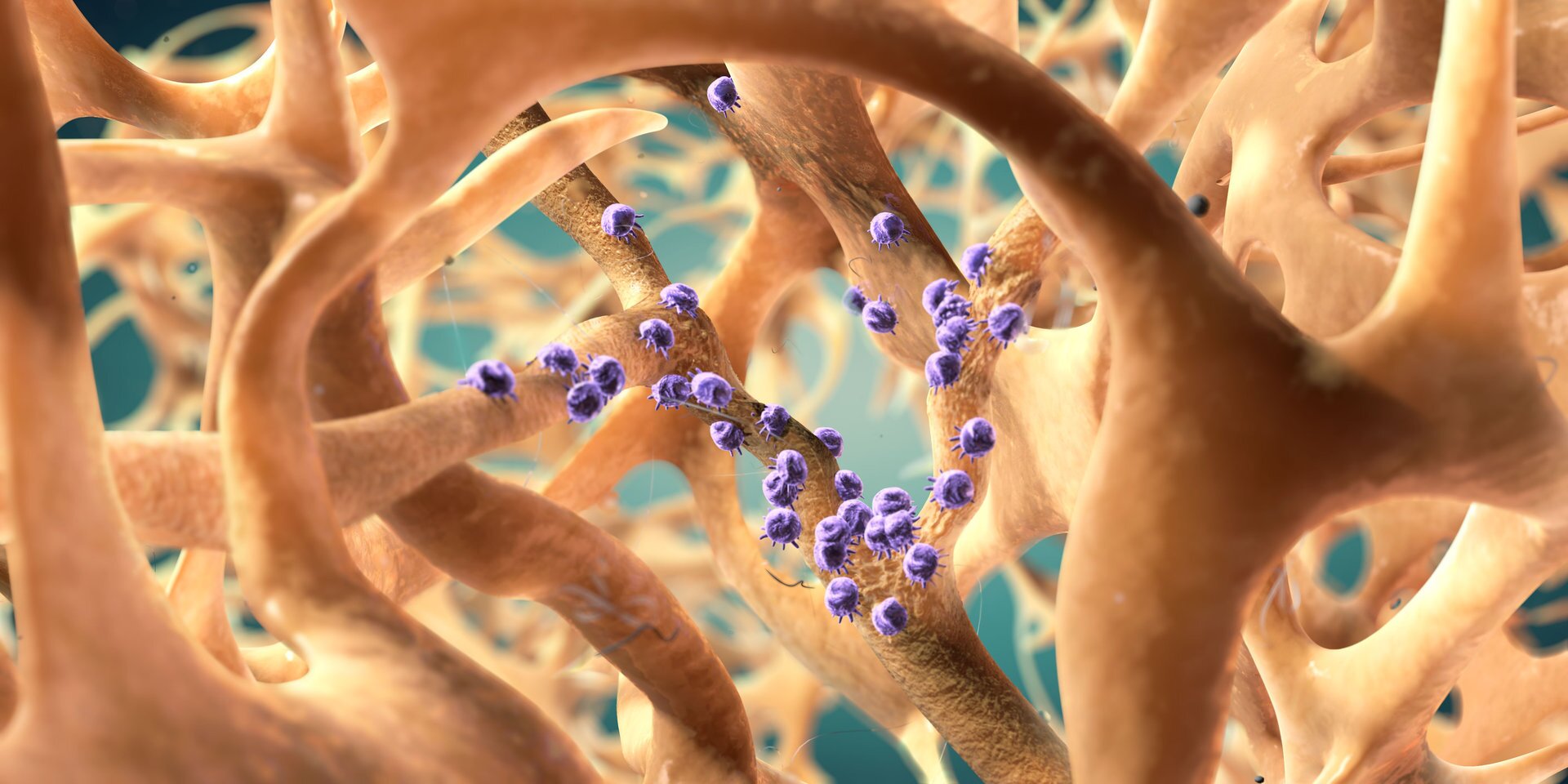 درمان پوکی استخوان با استفاده از میکروروباتهای هوشمند /فناوری؛ پیشگیری، تشخیص و درمان پوکی استخوان را تسهیل میکند درمان پوکی استخوان با استفاده از میکروروباتهای هوشمند /فناوری؛ پیشگیری، تشخیص و درمان پوکی استخوان را تسهیل میکند