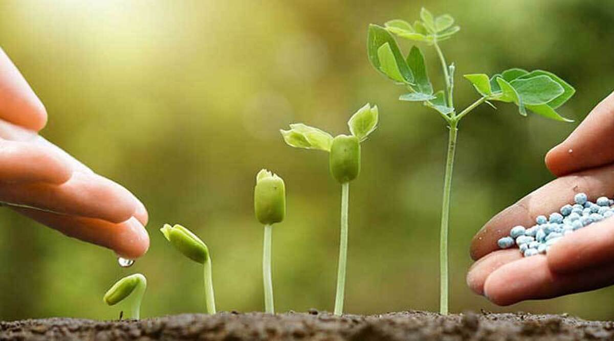 محصولی بیولوژیک برای افزایش جذب مواد غذایی و کنترل آفات کشاورزی