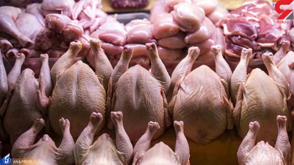 قیمت انواع گوشت قرمز و مرغ ماهیچه گوسفندی ۲۳۷ هزار تومان