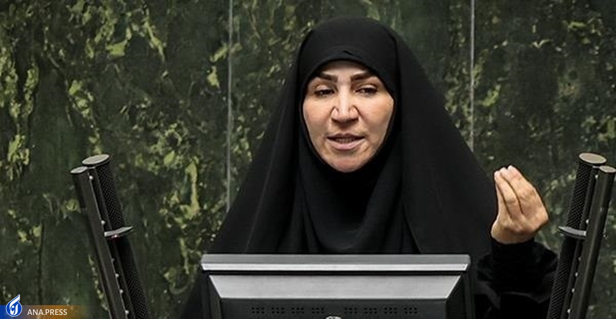 چنارانی: قرعهکشی خودرو توهین مسلم به شعور مردم است