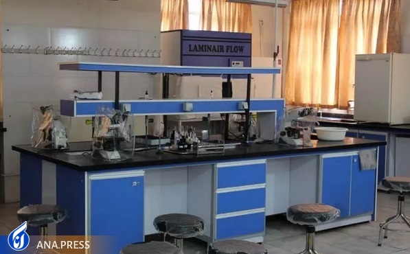 ۲۰۰ عنوان پژوهشی در برنامه علمی «زیارت» ثبت شد ۲۰۰ عنوان پژوهشی در برنامه علمی «زیارت» ثبت شد