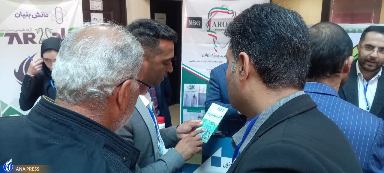 ارائه محصولات  ۵۰ شرکت دانش&zwnj;بنیان در رویداد فناورانه &laquo;پسته&zwnj;شو&raquo;/ ۳ پردیس تخصصی مجوز فعالیت گرفتند